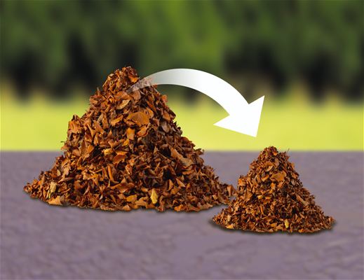 smalcinasanas-attieciba-69013c12-lv